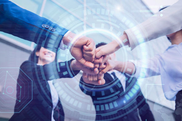 Nadeem Sarwari and Associates